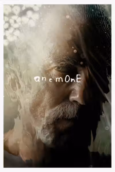 Anemone